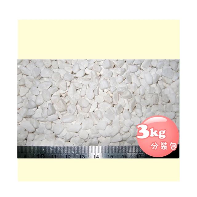 極白石2分(漢白玉.特白石.鵝卵石.白卵石)3公斤分裝包 歷史價格詳細信息