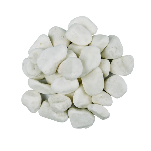 【蔬菜工坊】3.5吋荷蘭盆 10個/組 歷史價格詳細信息