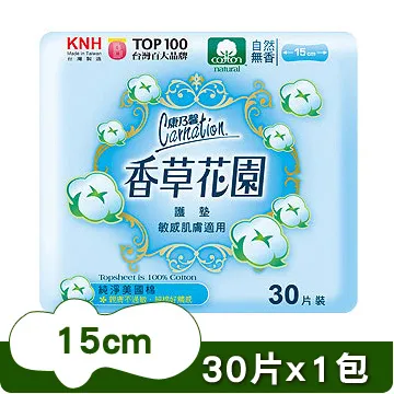 康乃馨香皂花x乾燥花 迷你花束 乾燥花束 香皂花束 母親節禮物 節慶禮物 涵蒔巧藝工作室 歷史價格詳細信息