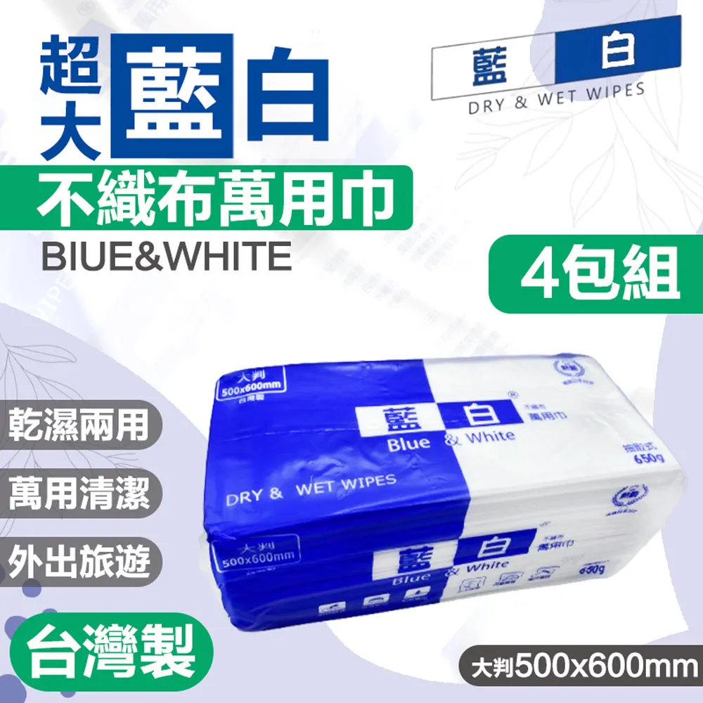 藍白 不織布萬用巾【3包組】(乾濕兩用/吸水吸油) 歷史價格詳細信息