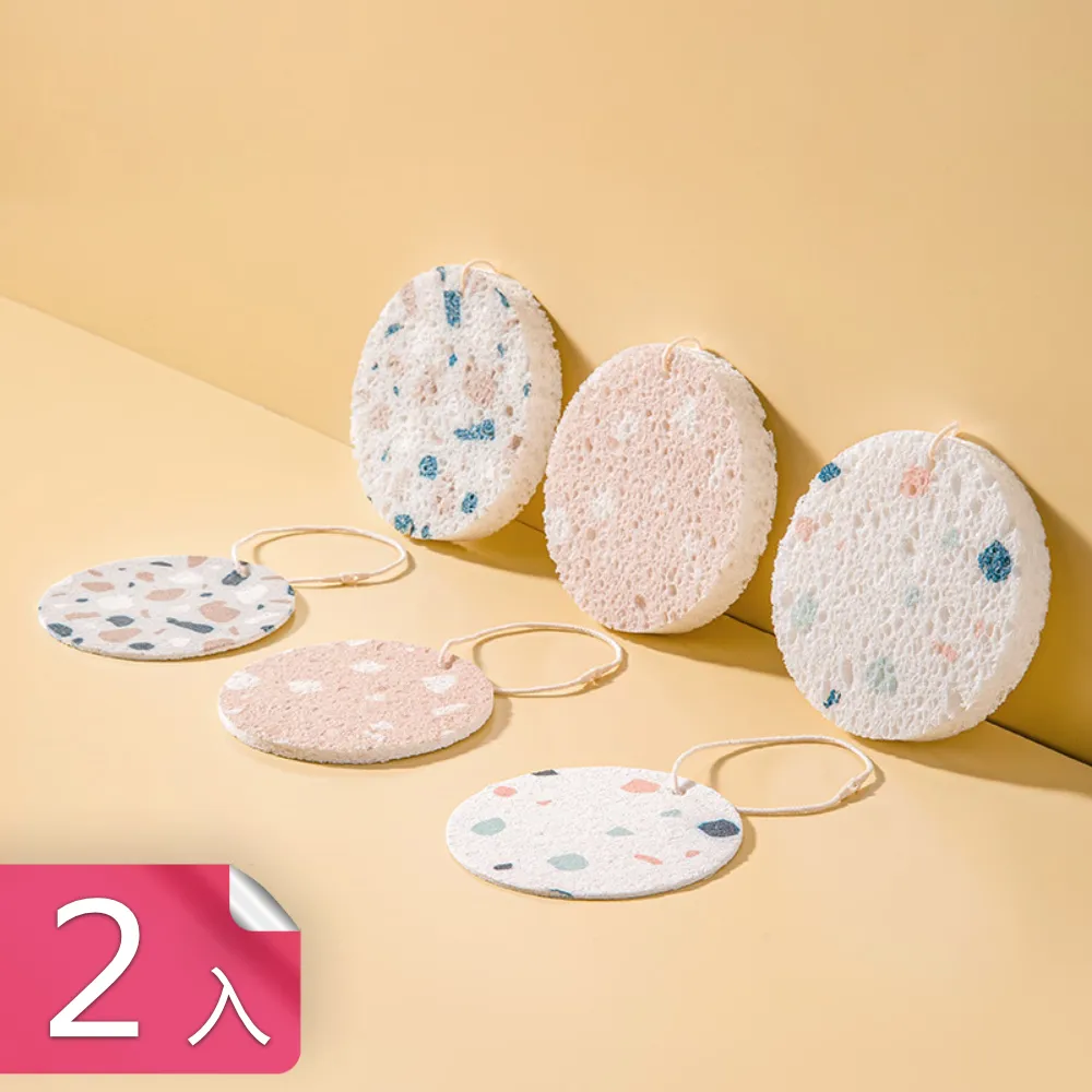 2入強力去汙纖維海綿清潔刷子 浴缸刷瓷磚刷洗鍋 刷海綿擦 隨機出貨 歷史價格詳細信息