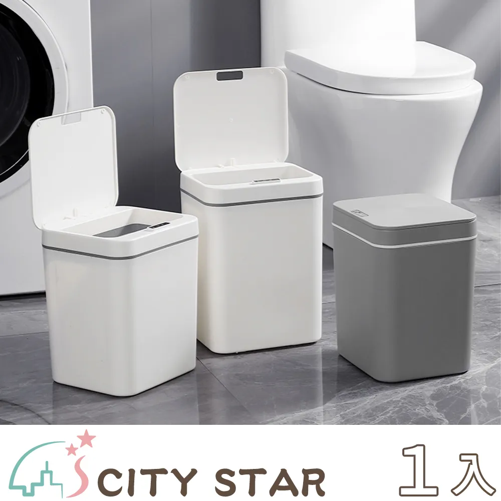 【CITY STAR】無紡布一次性男女通用免洗內褲-360入 歷史價格詳細信息