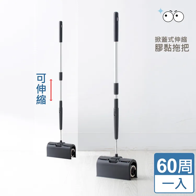 hold掀蓋式短柄膠黏拖把二入組 歷史價格詳細信息