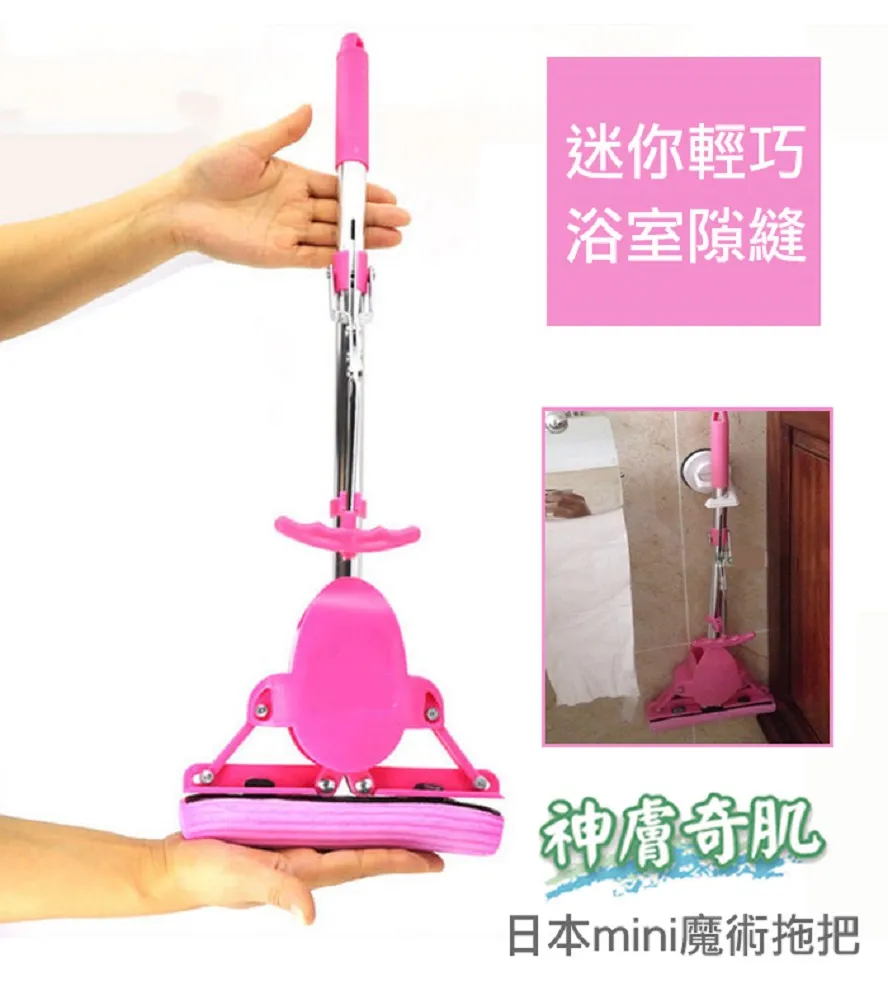 神膚奇肌日本迷你mini魔術拖把 歷史價格詳細信息