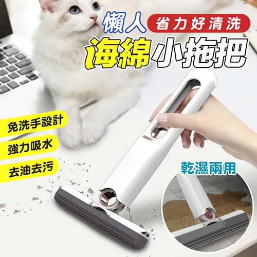 （超值2+2）省力好清洗懶人海綿小拖把x2+地板瓷磚泡泡清潔慕斯450mlx2 歷史價格詳細信息