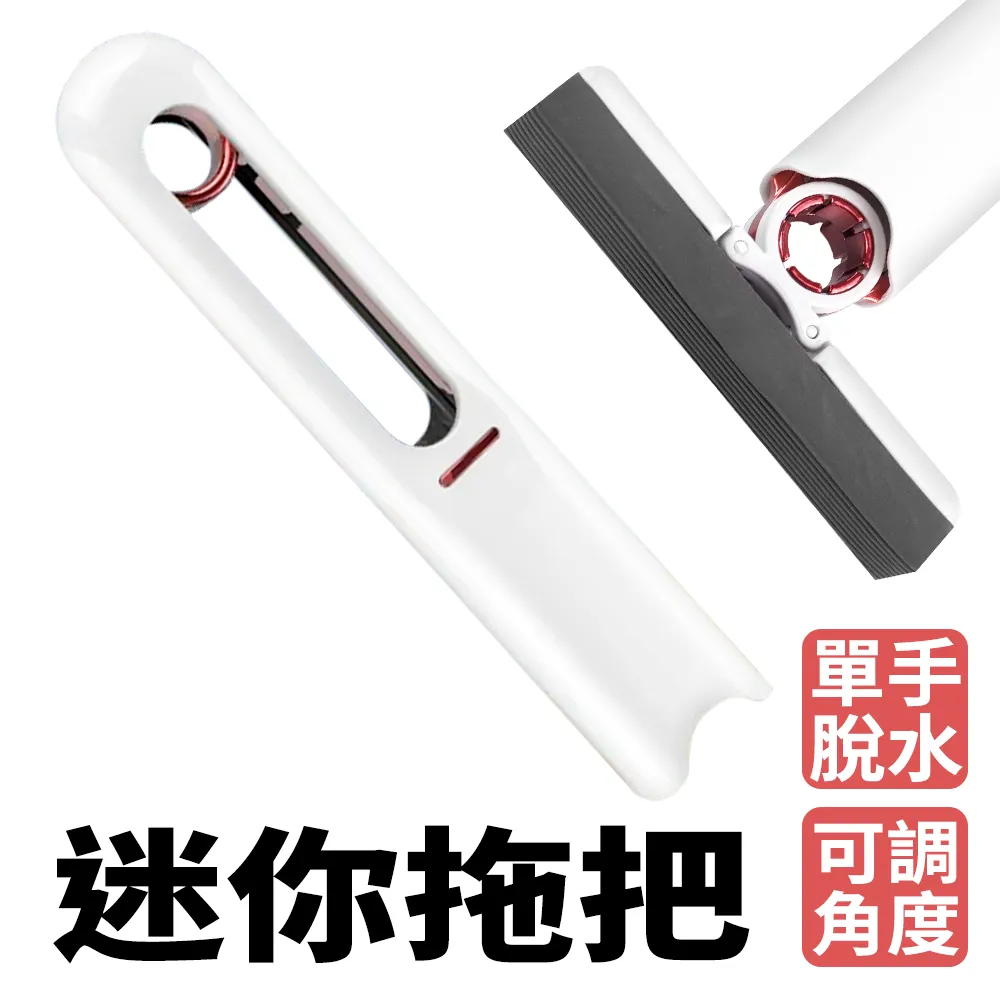 輕便小拖把迷你廚房瓷磚擦墻家用衛生間打掃墻面地天花~特價家用雜貨 歷史價格詳細信息