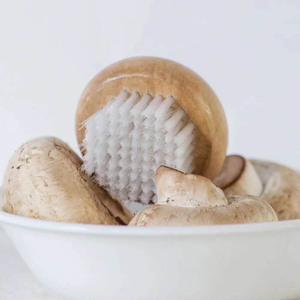 FOXRUN 單柄泡茶器(茶壺) 歷史價格詳細信息