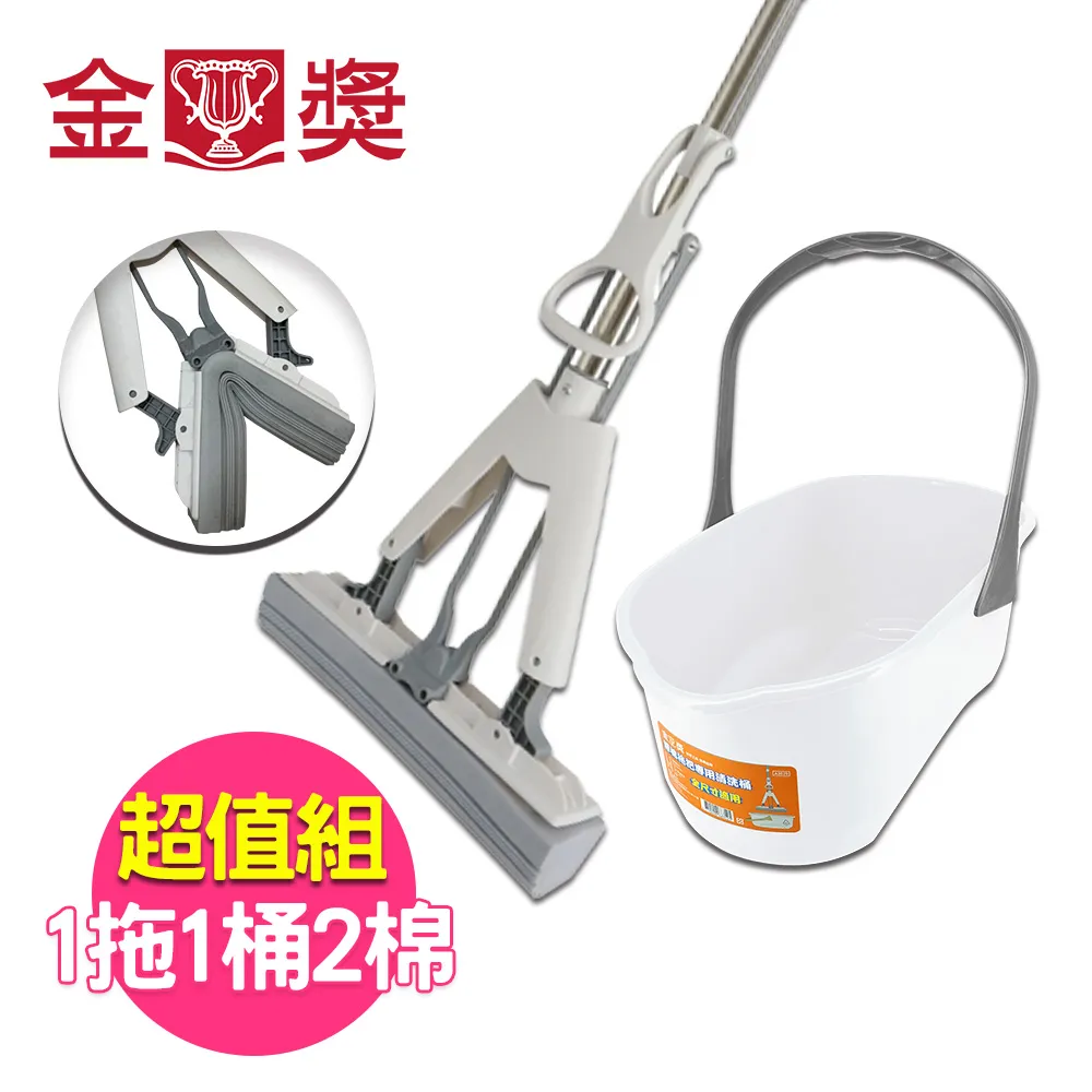 (2桶超值組)德國DM-OXI POWER活氧酵素多功能居家清潔漂白去汙粉750g/藍桶(除垢萬用去漬霸) 歷史價格詳細信息