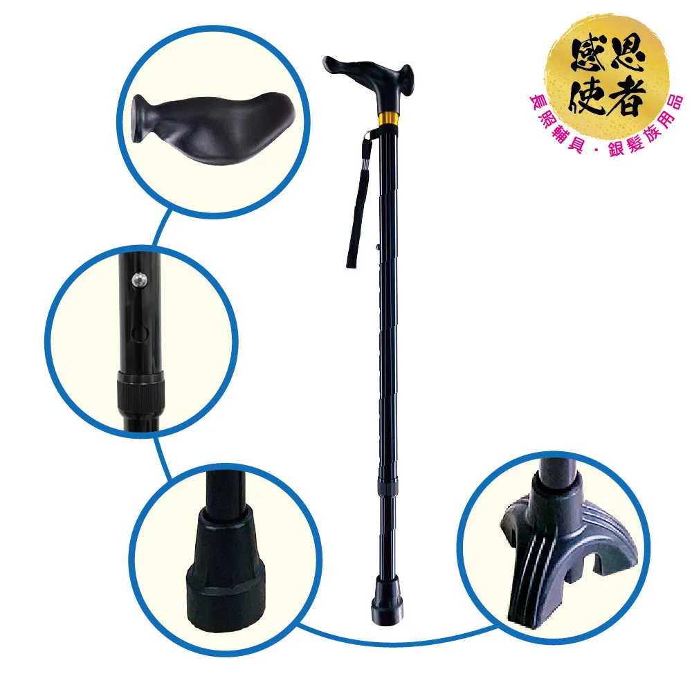 感恩使者 伸縮軌道式斜坡板 200cm 鋁合金 附防掉落側板 台灣製 [ZHTW1799-200] 歷史價格詳細信息