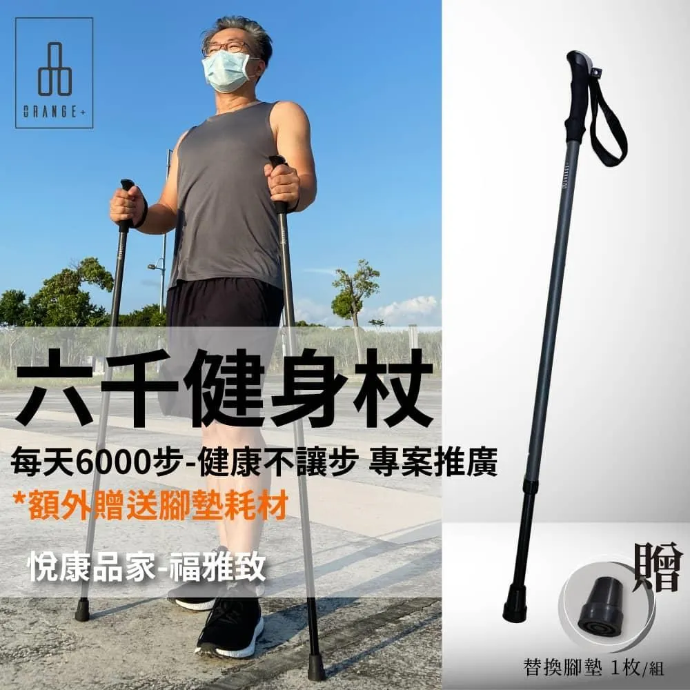 【悅康品家-福雅致】六千健身杖 1入組-原力灰色 歷史價格詳細信息