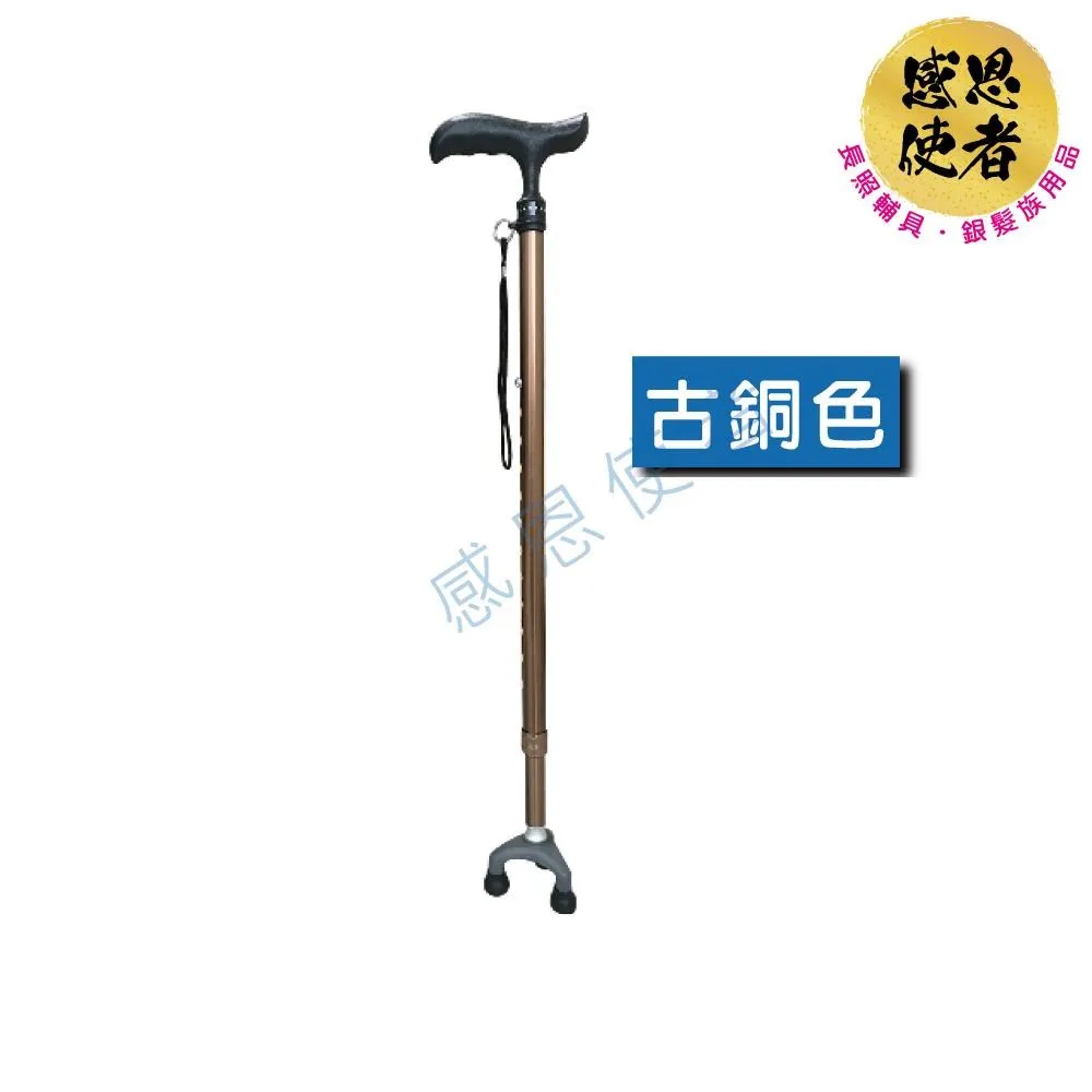 感恩使者 伸縮軌道式斜坡板 200cm 鋁合金 附防掉落側板 台灣製 [ZHTW1799-200] 歷史價格詳細信息