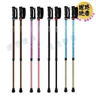 感恩使者 伸縮軌道式斜坡板 200cm 鋁合金 附防掉落側板 台灣製 [ZHTW1799-200] 歷史價格詳細信息