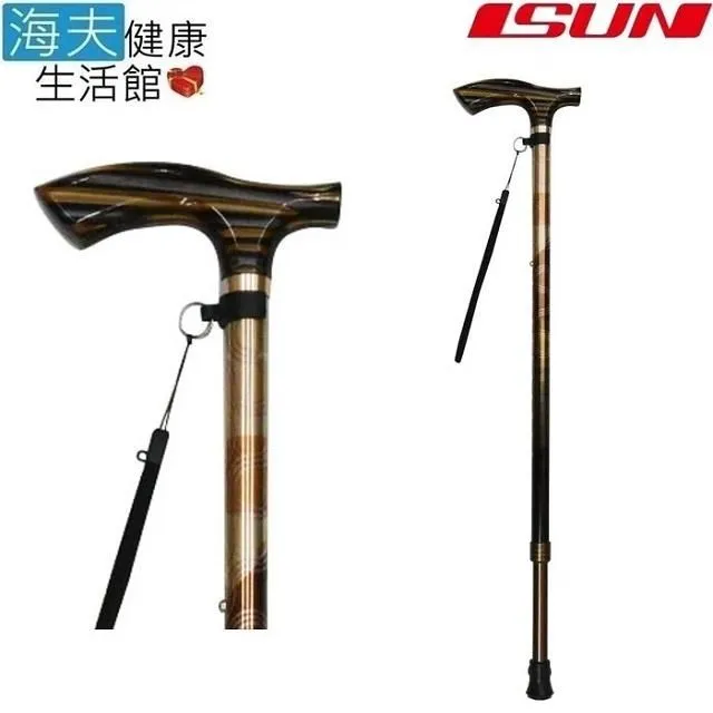 【海夫健康生活館】宜山 登山杖手杖 EVA握把/3段伸縮/超輕碳纖維/台灣製造(CT3P006) 歷史價格詳細信息