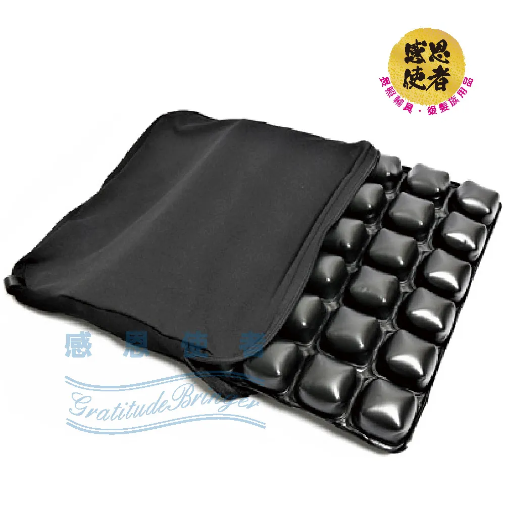 感恩使者 軟坐墊 - 助行器配件 ZHCN2404 輔助坐墊可上掀固定 帶著行走 步行輔具 歷史價格詳細信息