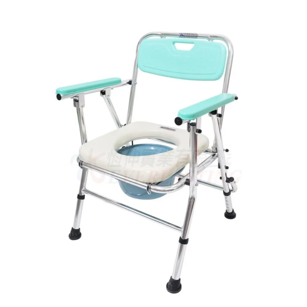 【便盆椅】恆伸醫療 台製鋁合金收合式站立式洗澡椅 歷史價格詳細信息