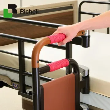 日本 Richell 矽膠咬咬固齒器(附盒) 6款可選【麗兒采家】 歷史價格詳細信息