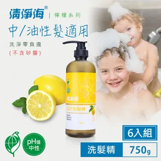 清淨海 環保洗衣精超值組(檸檬飄香) 1800gx2+1500gx4 歷史價格詳細信息