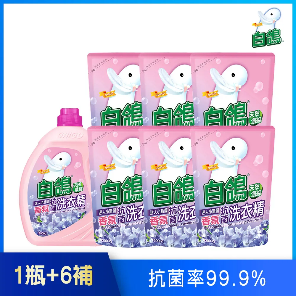 【白鴿】天然濃縮抗菌洗衣精 迷人小蒼蘭香氛-補充包2000gx6包 歷史價格詳細信息