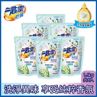 一匙靈 歡馨幽谷鈴蘭香超濃縮洗衣精 補充包1.5kg 箱購X6包 歷史價格詳細信息