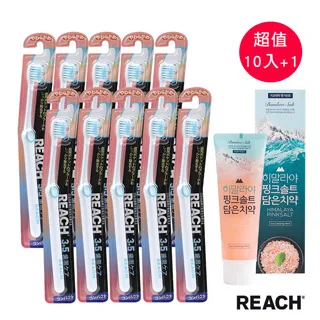 麗奇14°牙周對策牙刷標準刷頭軟毛 單支 歷史價格詳細信息