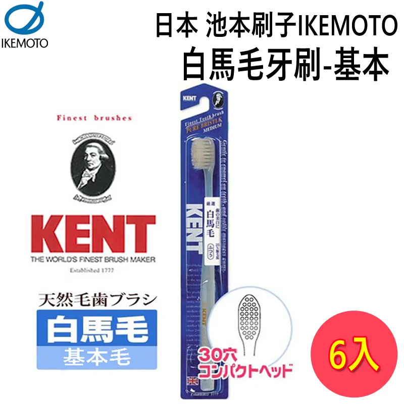 日本池本 IKEMOTO SSS抗菌齒間刷-6枚(KNT-7010) 3入組 歷史價格詳細信息