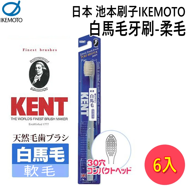 日本池本 IKEMOTO SSS抗菌齒間刷-6枚(KNT-7010) 3入組 歷史價格詳細信息