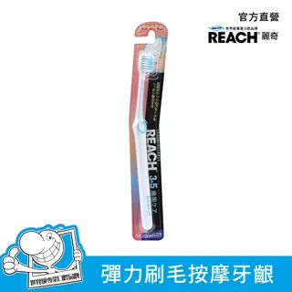 麗奇14°牙周對策牙刷標準刷頭軟毛 單支 歷史價格詳細信息