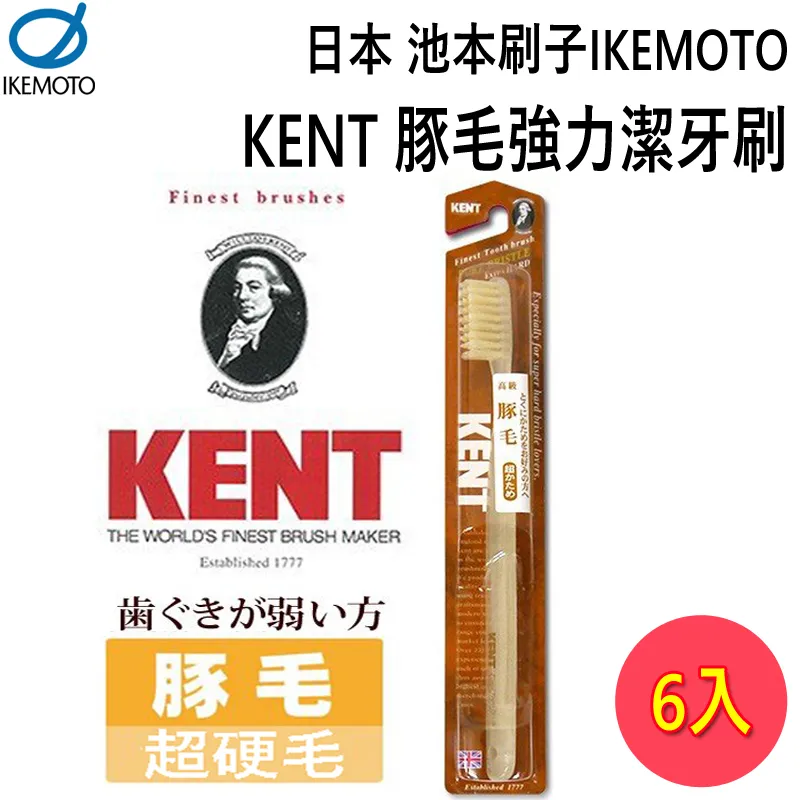 日本池本 IKEMOTO SSS抗菌齒間刷-6枚(KNT-7010) 3入組 歷史價格詳細信息