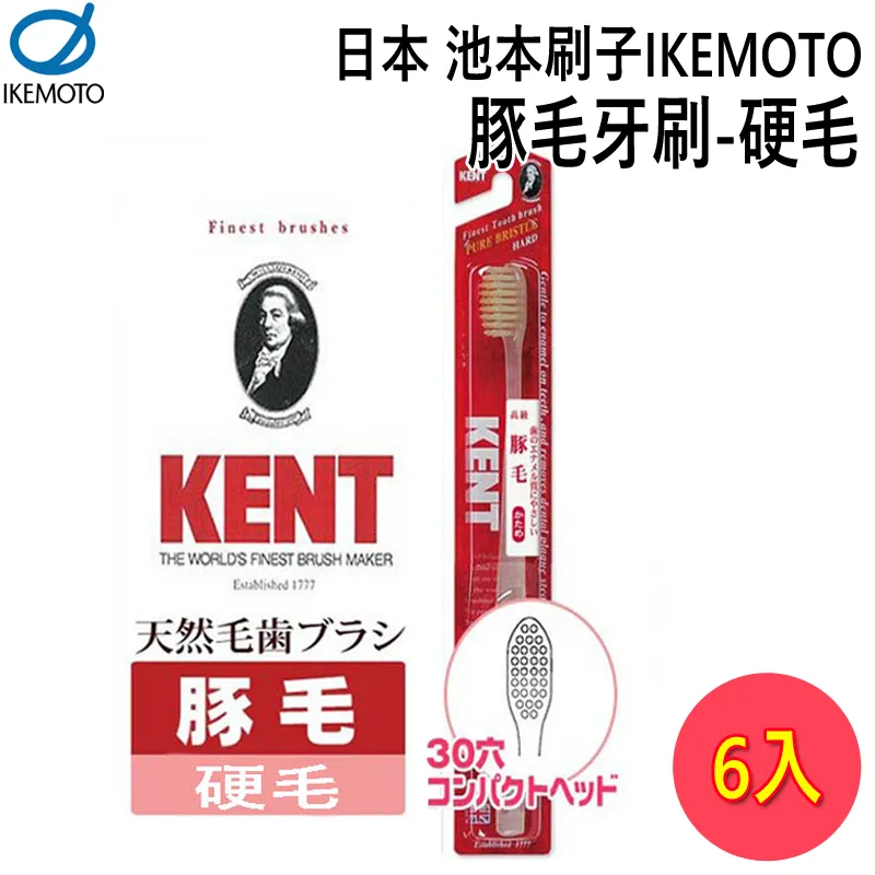 日本池本 IKEMOTO 極細弧形超柔牙刷 (KNT-3031) 6入組 歷史價格詳細信息