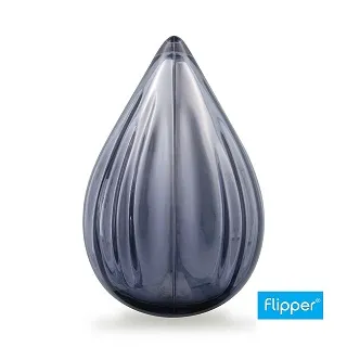 馬來西亞flipper兒童嬰幼兒牙刷軟毛小護齒刷頭清潔刷2歲3支卡通 歷史價格詳細信息