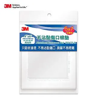 6吋 4x6相簿 相本  100張 相冊本 插頁式 影集    全臺最大的網路購物市集    全 歷史價格詳細信息