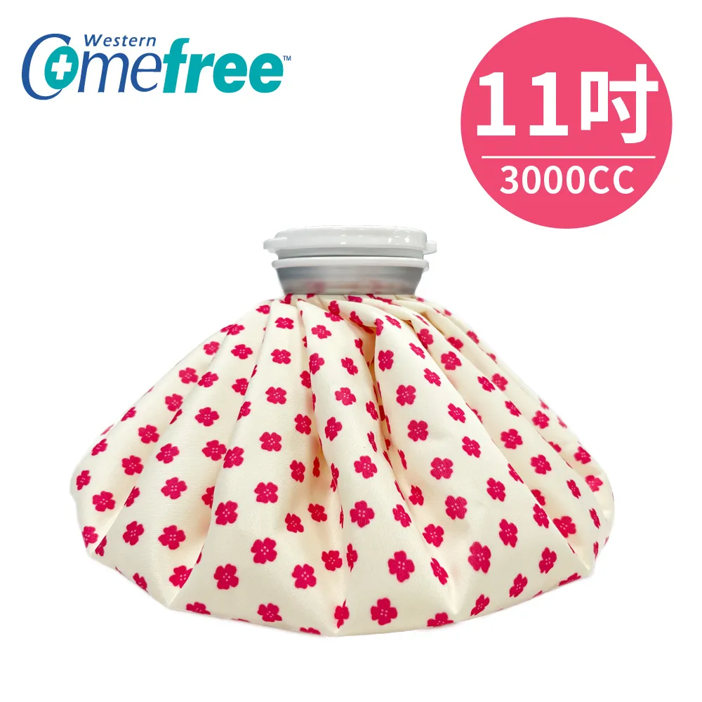 【Comefree 康芙麗】冰熱兩用敷袋6吋 600cc ( 幸運草 ) 歷史價格詳細信息