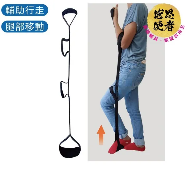 感恩使者 復健腳踏器-電子計數款 ZHTW2127 折疊式好收納 手足健步機 (運動健身) 歷史價格詳細信息