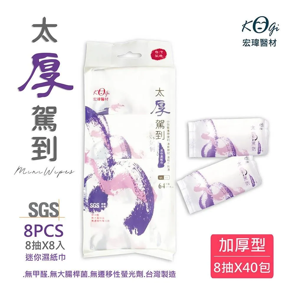 宏瑋 太厚駕到 RO純水 迷你濕紙巾-水墨版 ★(8抽/8小包×5組) 歷史價格詳細信息