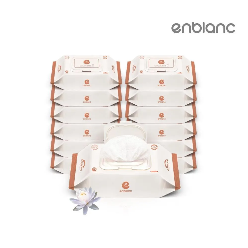韓國 Enblanc 銀離子抗菌 有蓋輕裝純水濕紙巾-極厚仙人掌32抽【佳兒園婦幼館】 歷史價格詳細信息