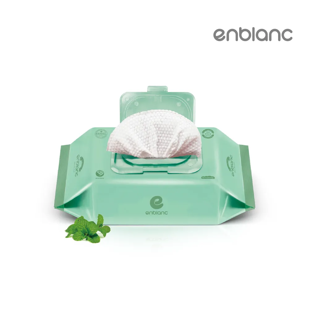 ENBLANC MINT極柔純水有蓋濕紙巾 - 薄荷萃取物(無涼感) 72抽1包 歷史價格詳細信息