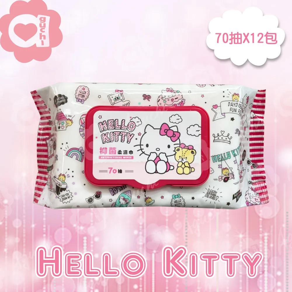 Hello Kitty 凱蒂貓抑 菌柔濕巾/濕紙巾 20 抽 X 24 包 超柔觸感 隨身包攜帶方便 歷史價格詳細信息