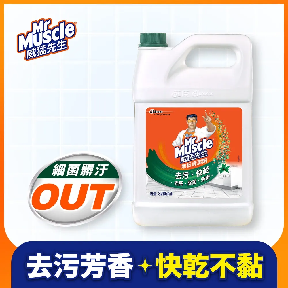 37825精品碧璽【富甲天下】手鍊，珍貴精品 ！ 精緻獨特 ，9x6.6x3.2mm 歷史價格詳細信息