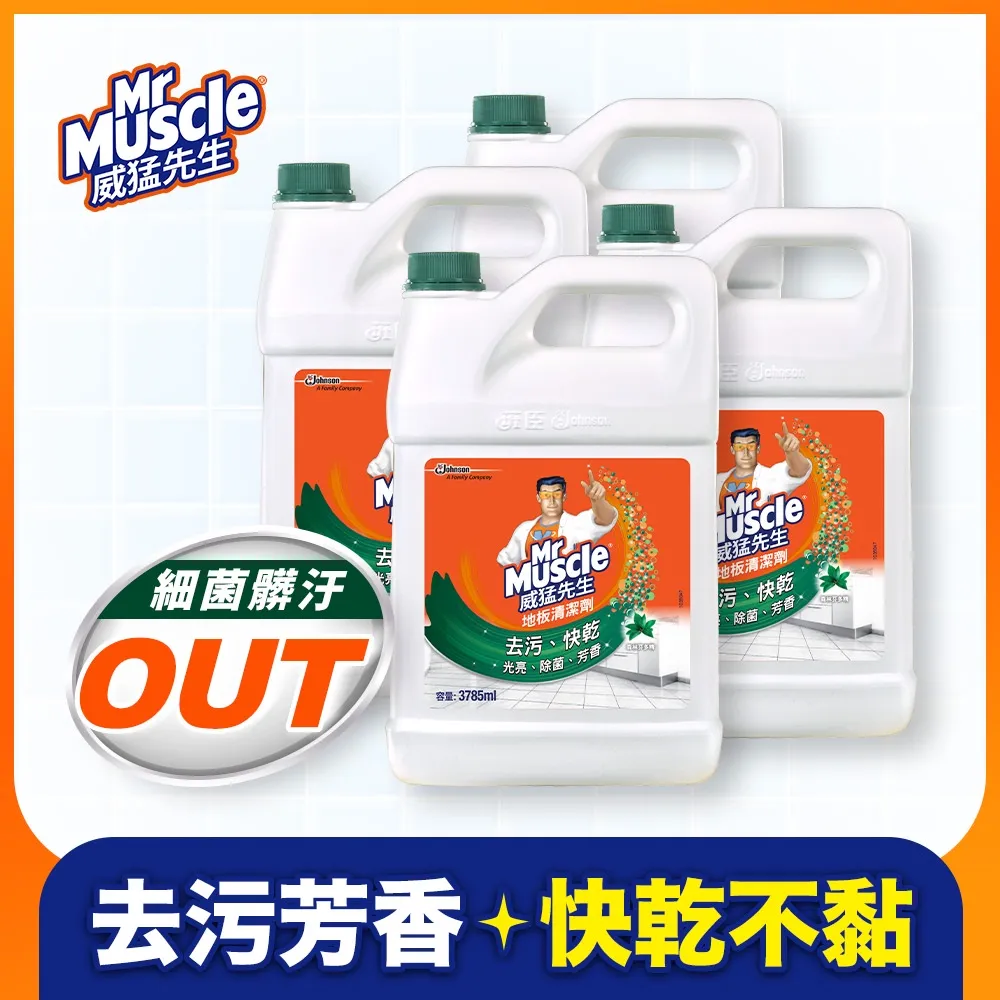 37825精品碧璽【富甲天下】手鍊，珍貴精品 ！ 精緻獨特 ，9x6.6x3.2mm 歷史價格詳細信息