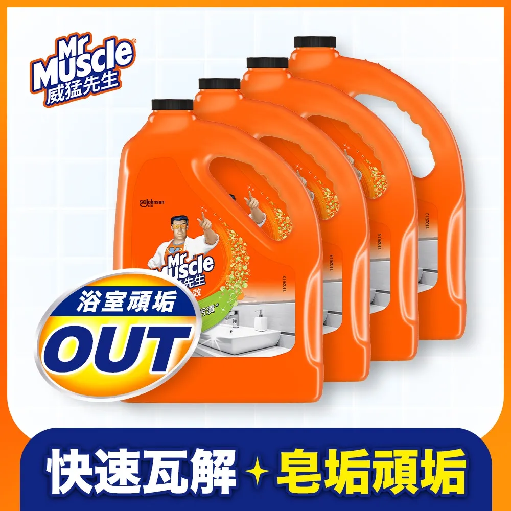 威猛先生 浴室全效清潔劑加侖桶-除垢(4入/箱) 箱購組-官方直營 歷史價格詳細信息