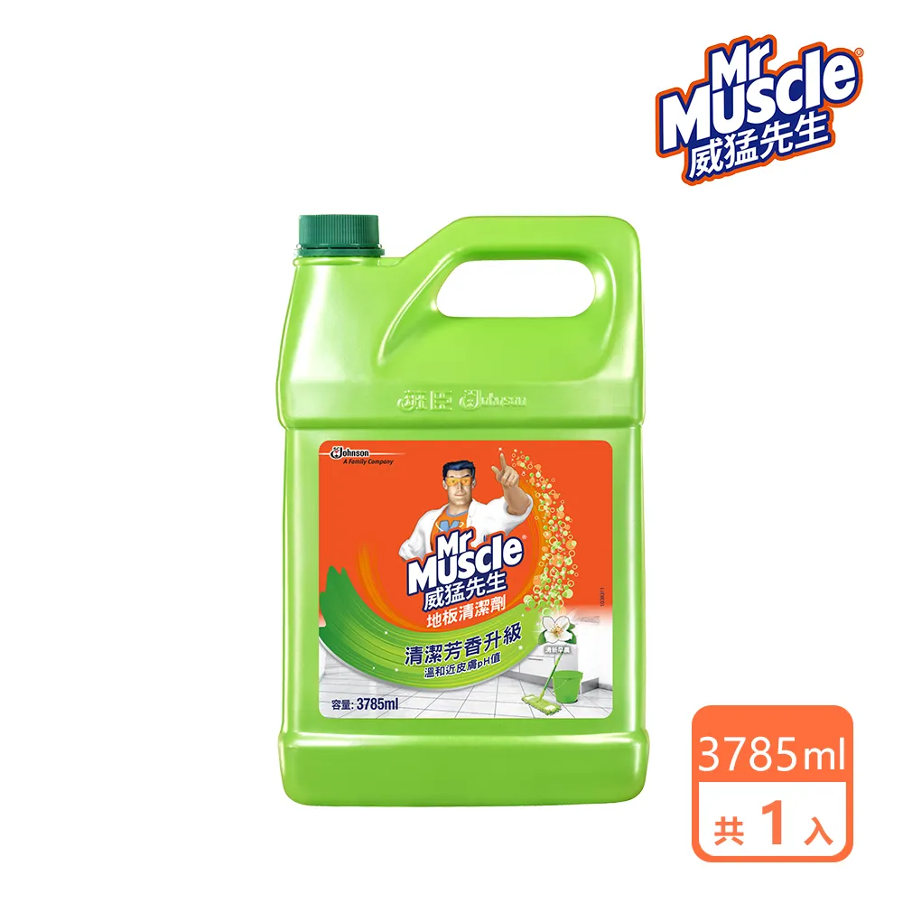 威猛先生 地板清潔劑-清新早晨2000ml 歷史價格詳細信息