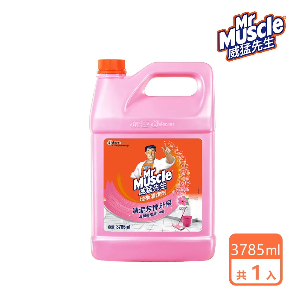 威猛先生 地板清潔劑加侖桶-清新早晨3785ml(4入/箱)-箱購組-官方直營 歷史價格詳細信息