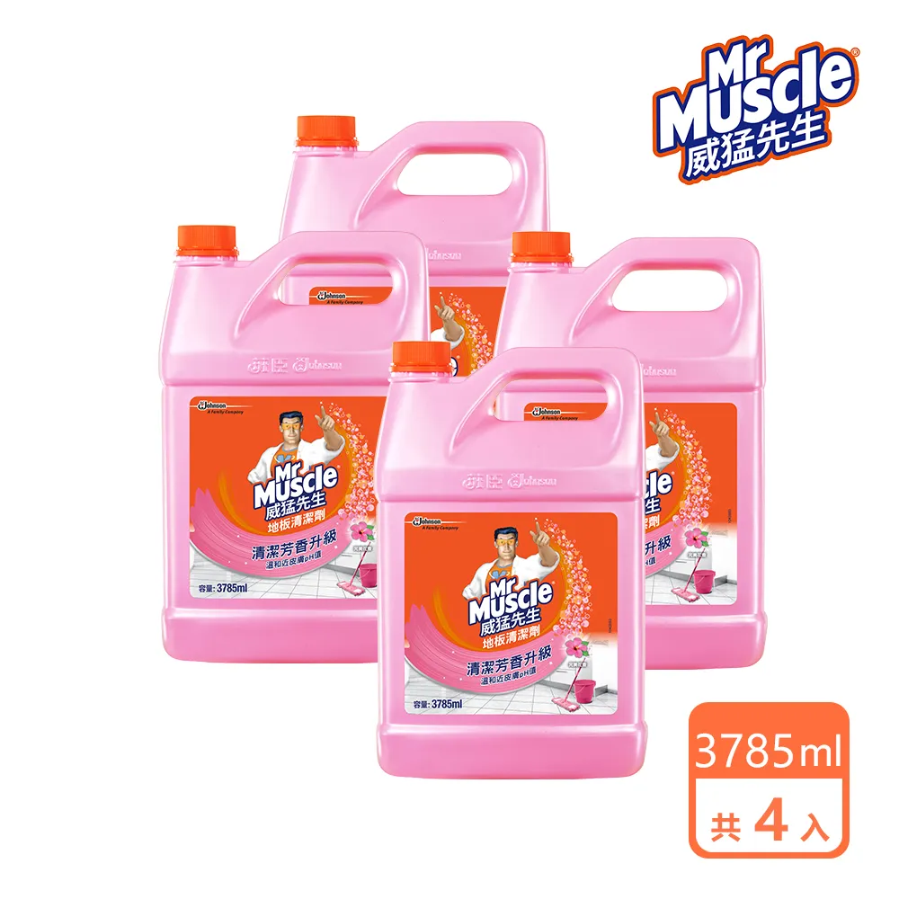 威猛先生 地板清潔劑加侖桶-完美花香3785ml-官方直營 歷史價格詳細信息