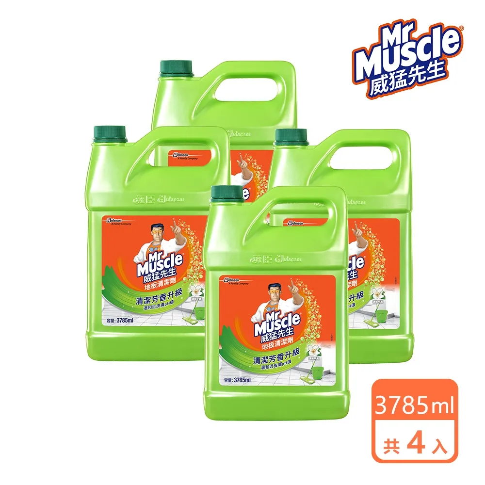 威猛先生 地板清潔劑-清新早晨2000ml 歷史價格詳細信息