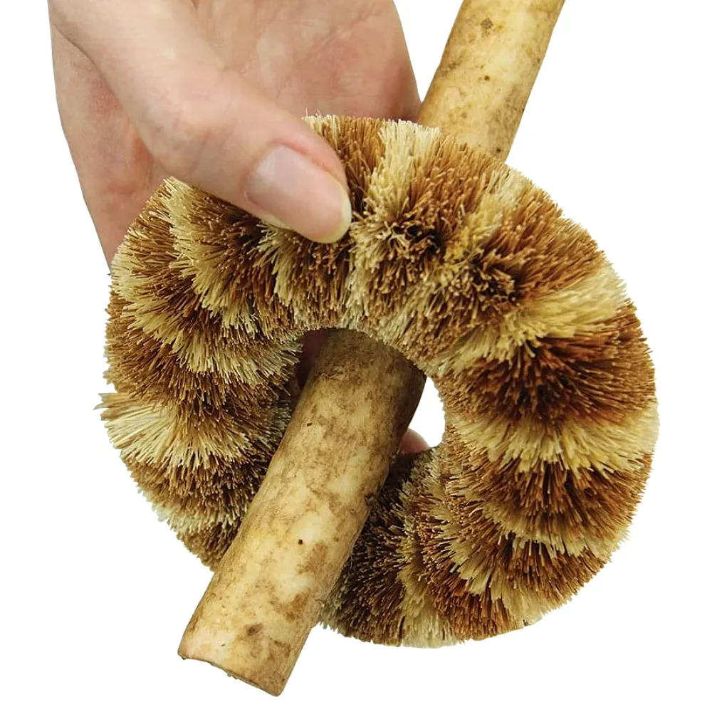 日本aisen棕毛馬桶刷 歷史價格詳細信息