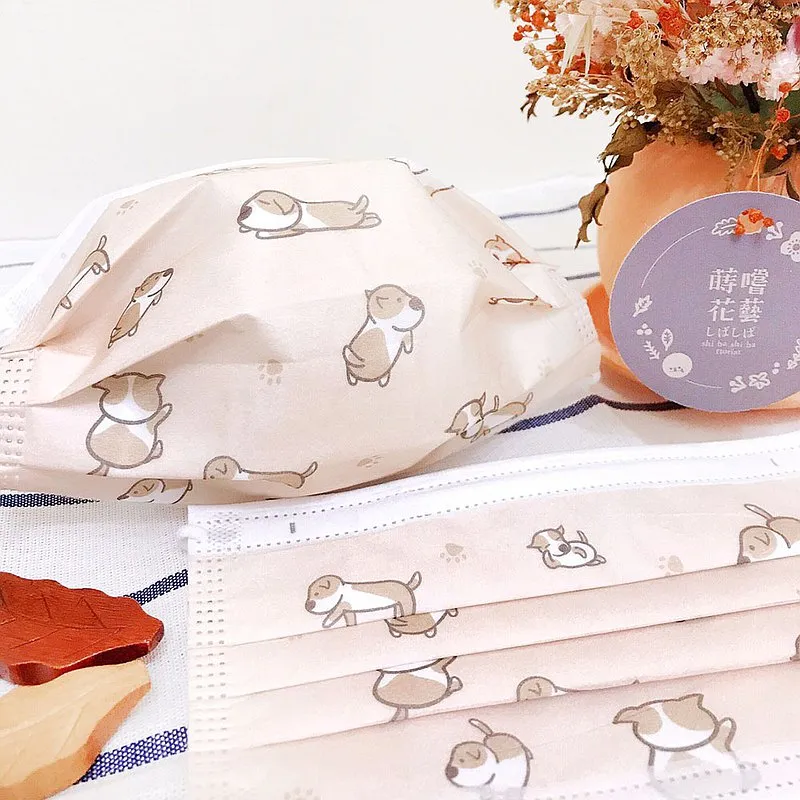 6包裝|洗臉巾一次性棉柔巾男女潔面洗面擦臉不掉毛乾溼兩用擦洗臉巾 歷史價格詳細信息