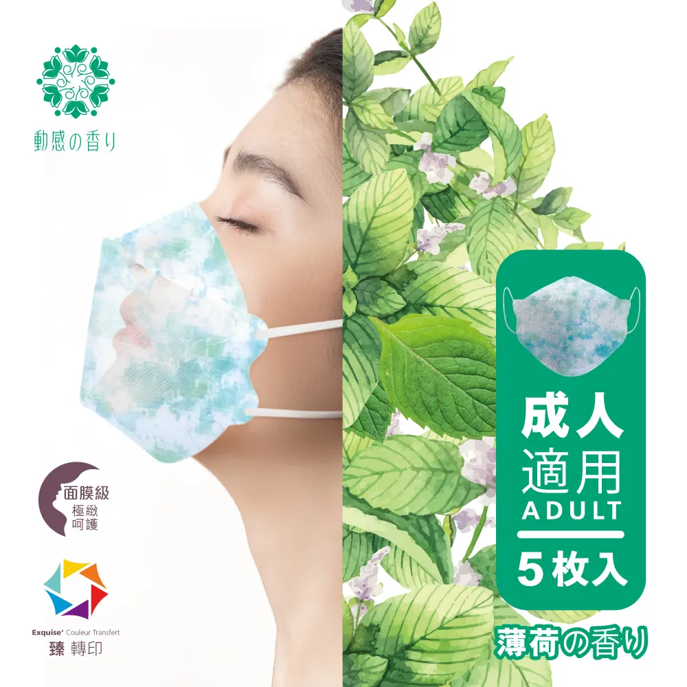 【BUKUNG 卜公】醫療級口罩 韓式成人口罩 海軍藍10入/盒 台灣製造  MD雙鋼印 卜公家族 歷史價格詳細信息