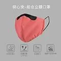 【威飛客WELL FIT】袋心安-組合立體口罩(兒童) 歷史價格詳細信息