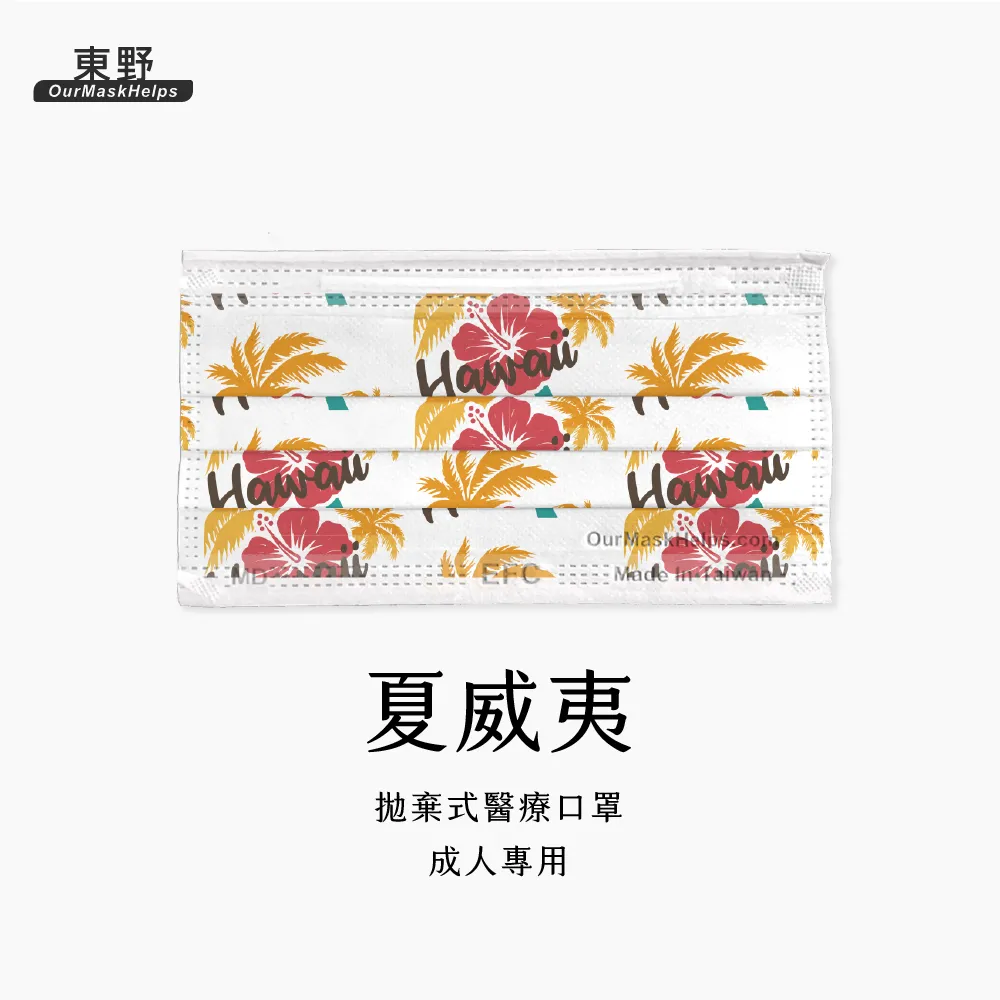 【東野】成人醫療口罩10入 環遊世界系列 荷蘭 歷史價格詳細信息