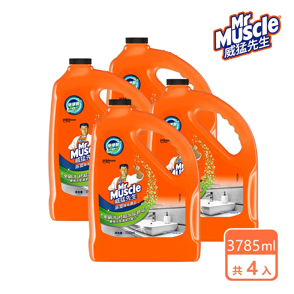 威猛先生 浴室全效清潔劑加侖桶-除垢(4入/箱) 箱購組-官方直營 歷史價格詳細信息